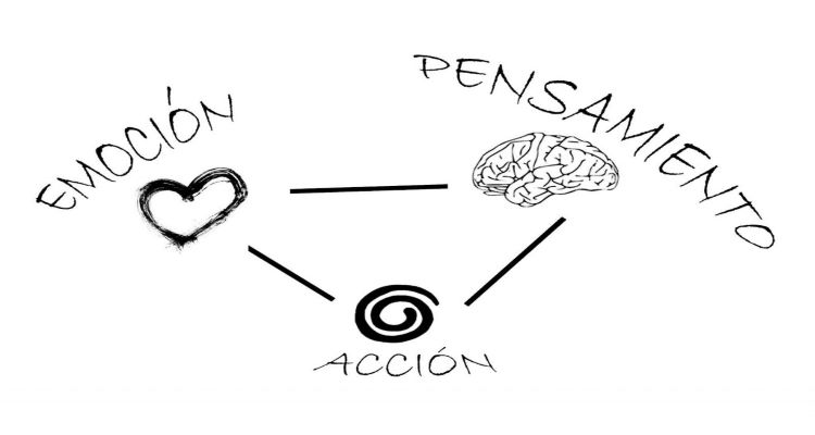 grafico